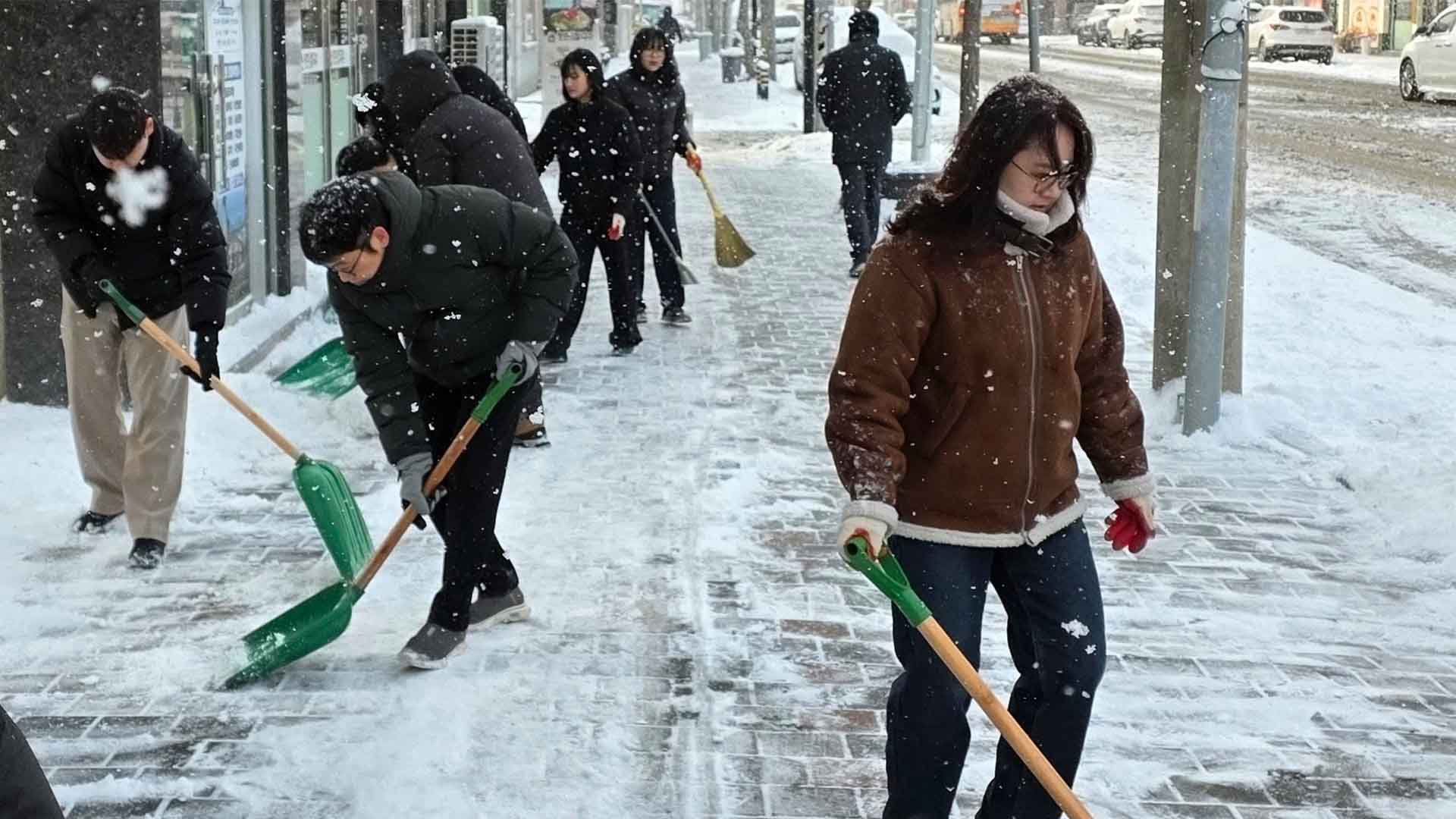 시무식 취소한 고창군청.. 전직원 '눈 치우기'