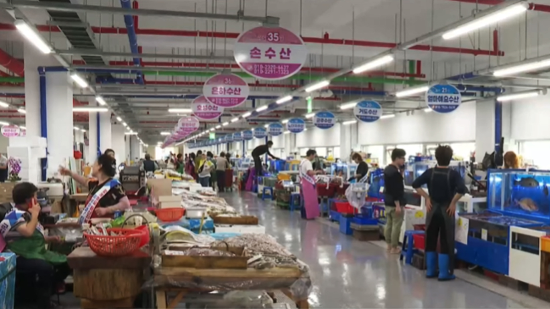 군산수협 지난해 위판액 1,407억 원.. 3년 연속 '천억 대'