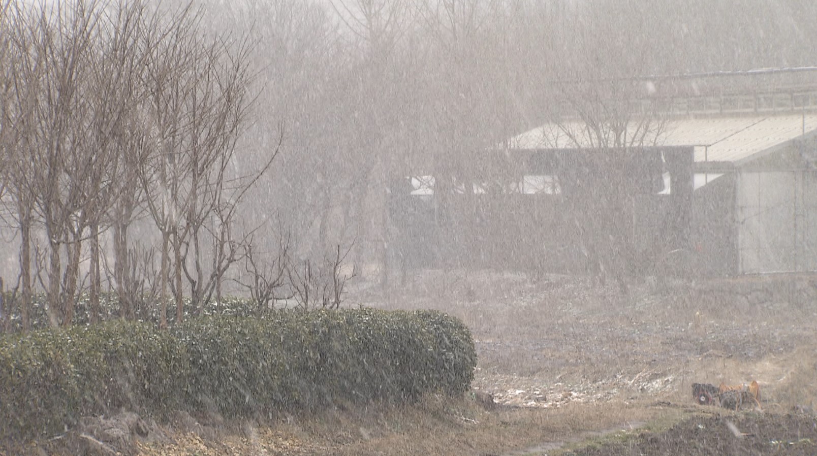 아침 영하권 추위.. 오전까지 빗방울 또는 눈 날림