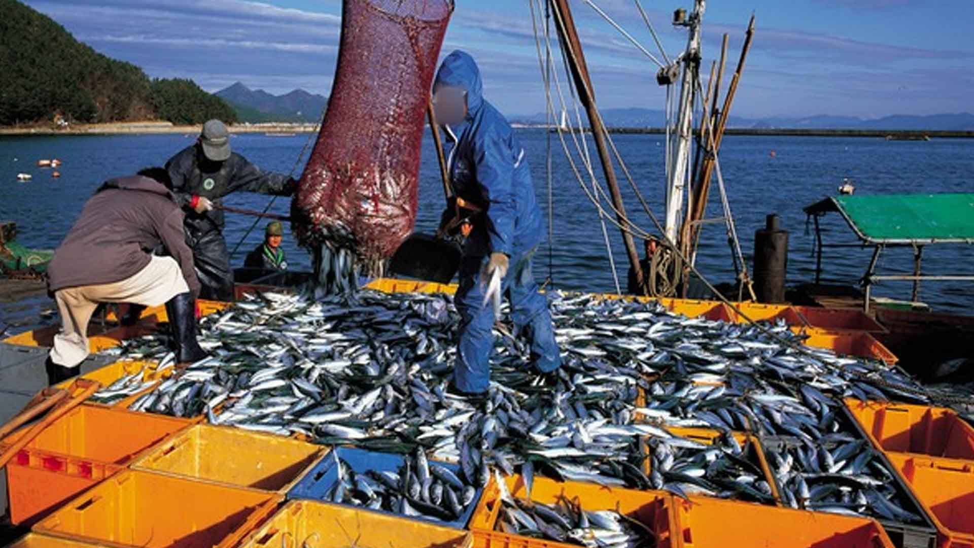 군산시, 수산업 계절 노동자 수요 조사.. 30일까지