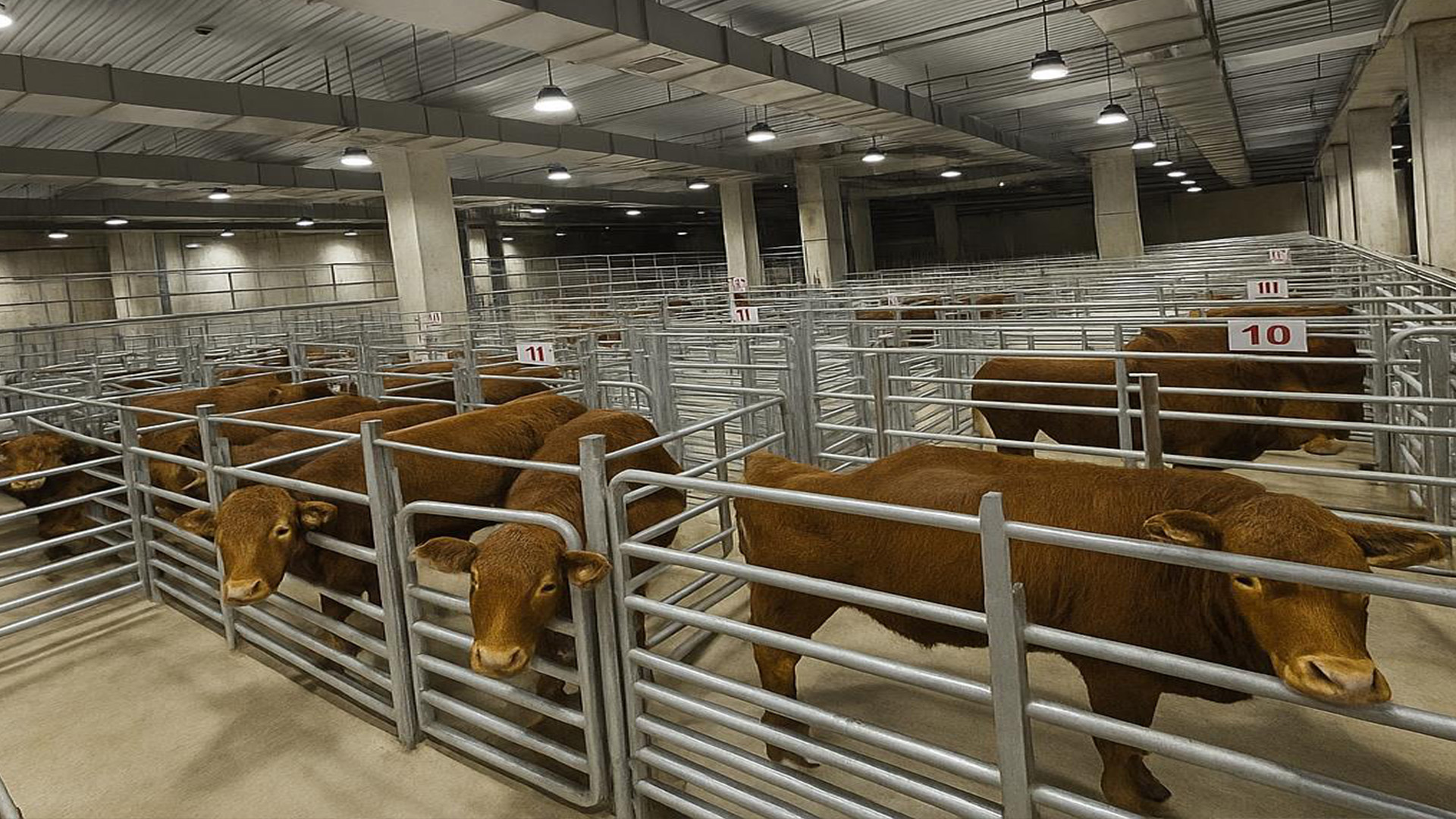 전북도, 설 명절 앞두고 축산물 위생점검 실시