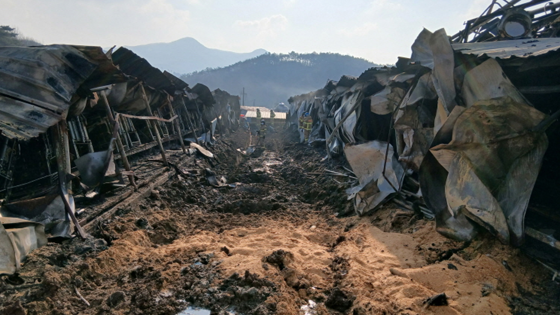 순창 돼지 농장 불로 2,200마리 폐사.. 2억 1천만 원 피해