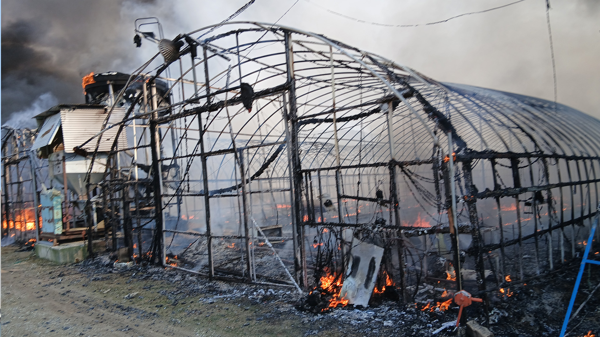 정읍 양계장에서 화재.. 육계 2,500마리 폐사