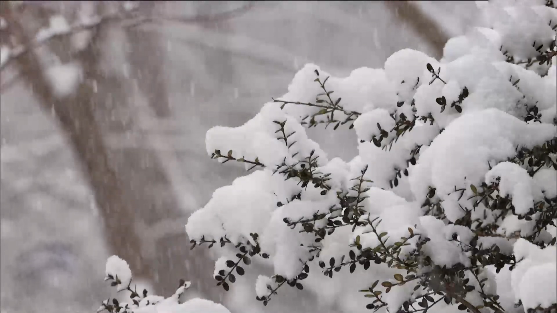 전북 많은 눈 이어져.. 아침까지 3~8cm