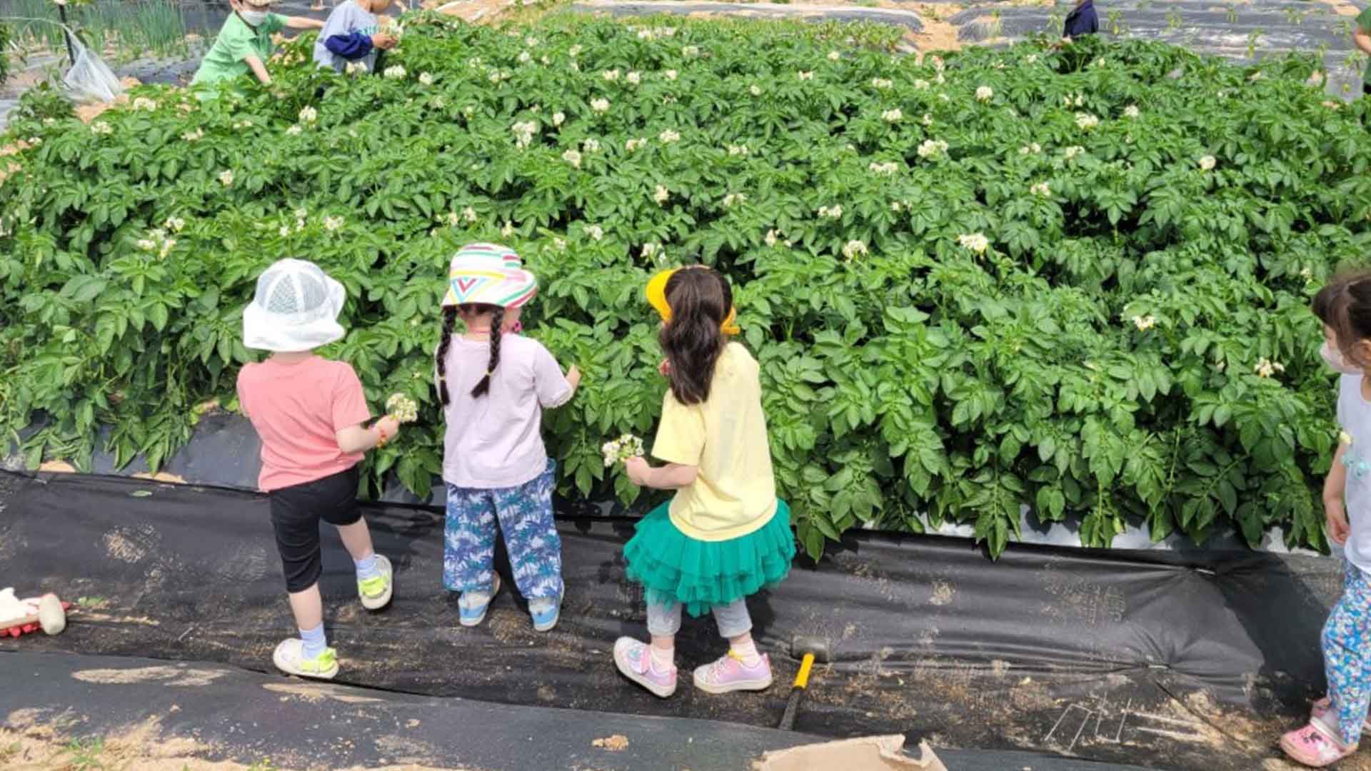 농진청, 주말마다 농업과학 체험교육 진행