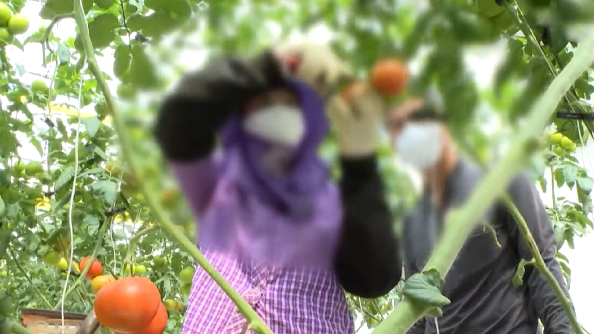 익산시, '농작업 질환 예방' 여성 농민 건강검진 확대