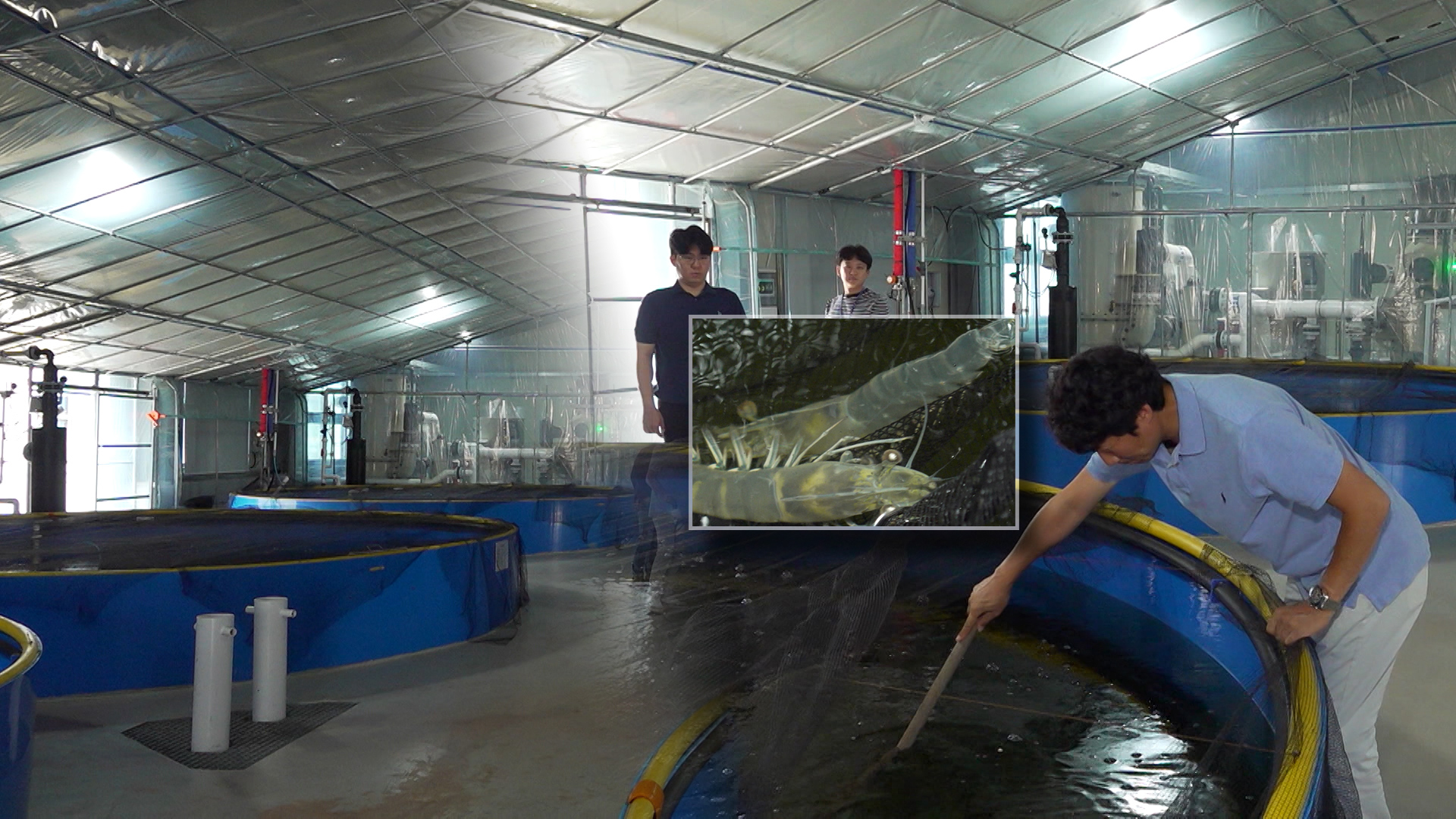 축제식 어류 양식 활기.. 전북 양식장 면적 67% 증가