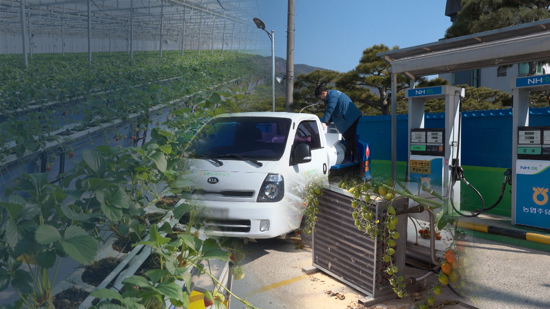 채소·과일 농가도 부담.. 농번기 앞두고 면세유 확보 비상