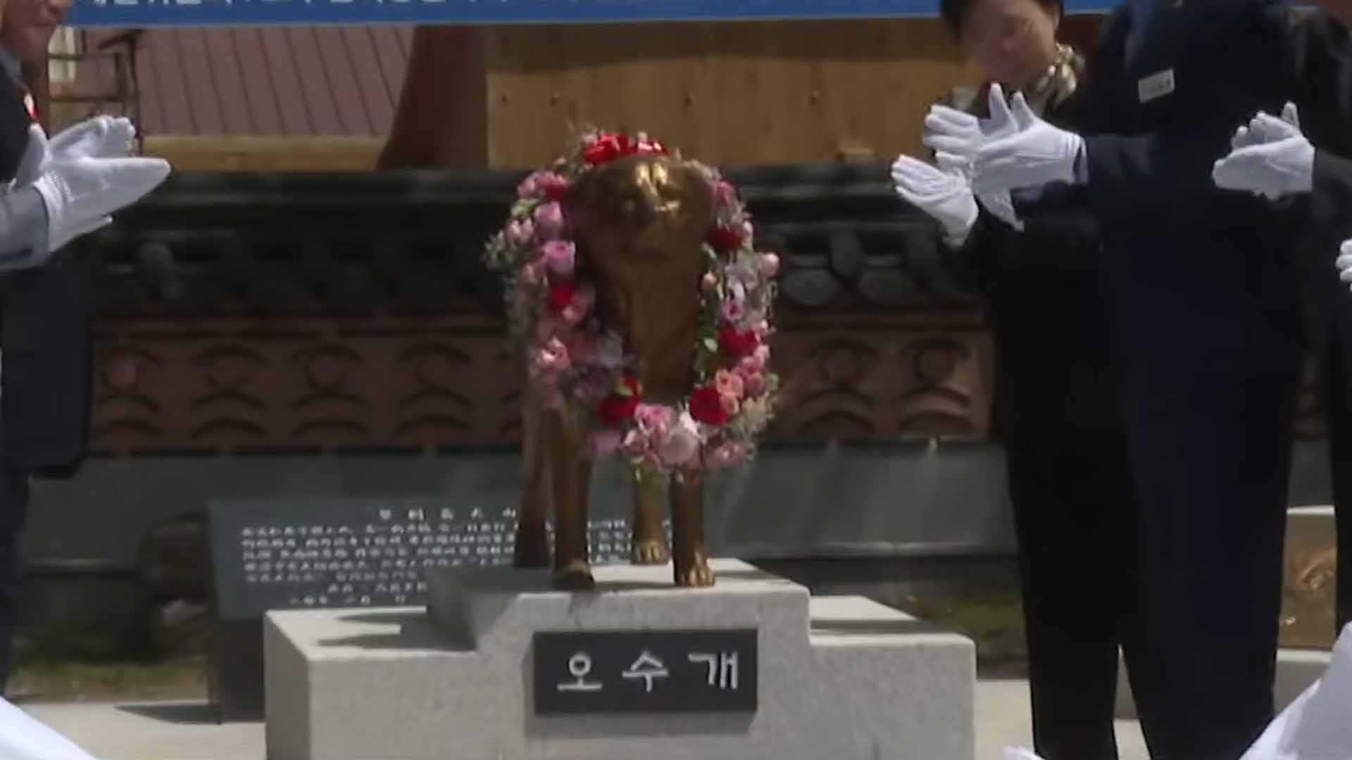 임실, 충의와 헌신 '오수개' 동상 제막식 [글로컬소식]