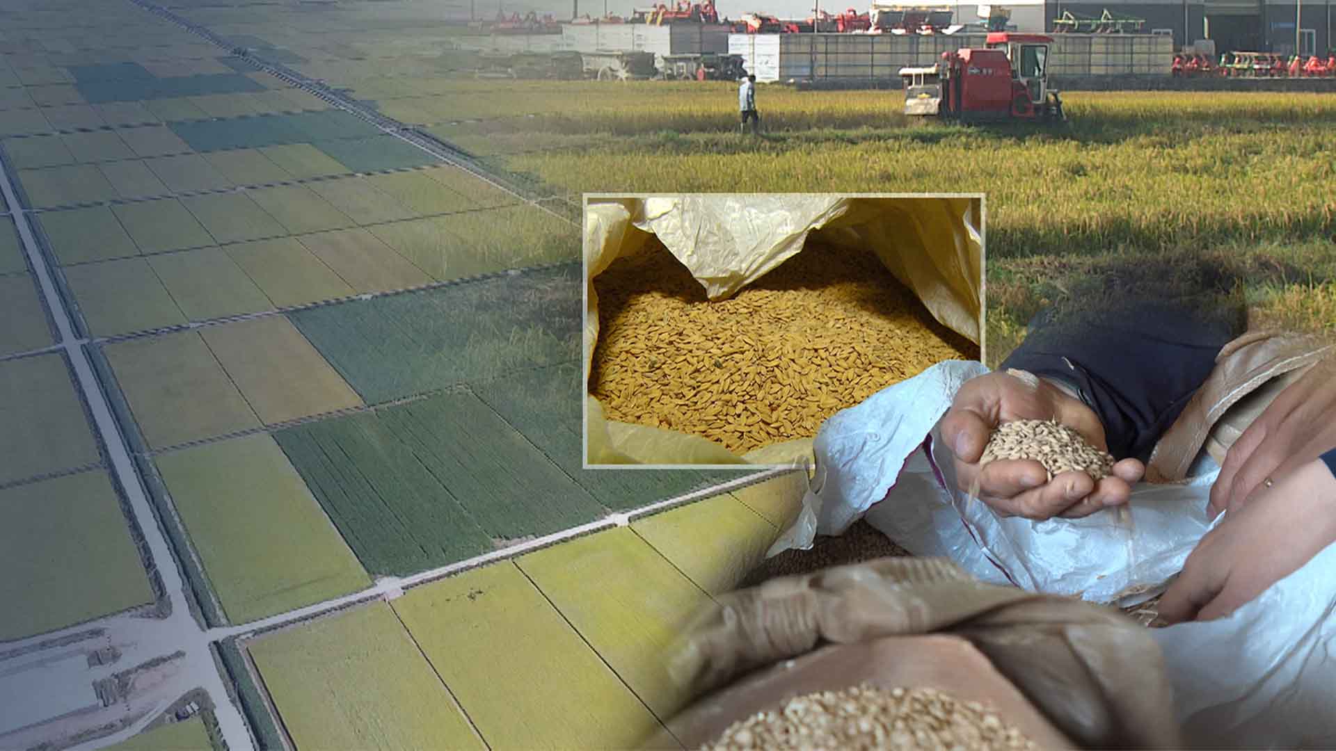 벼농사 생산비 1위 전북.. 이유는?