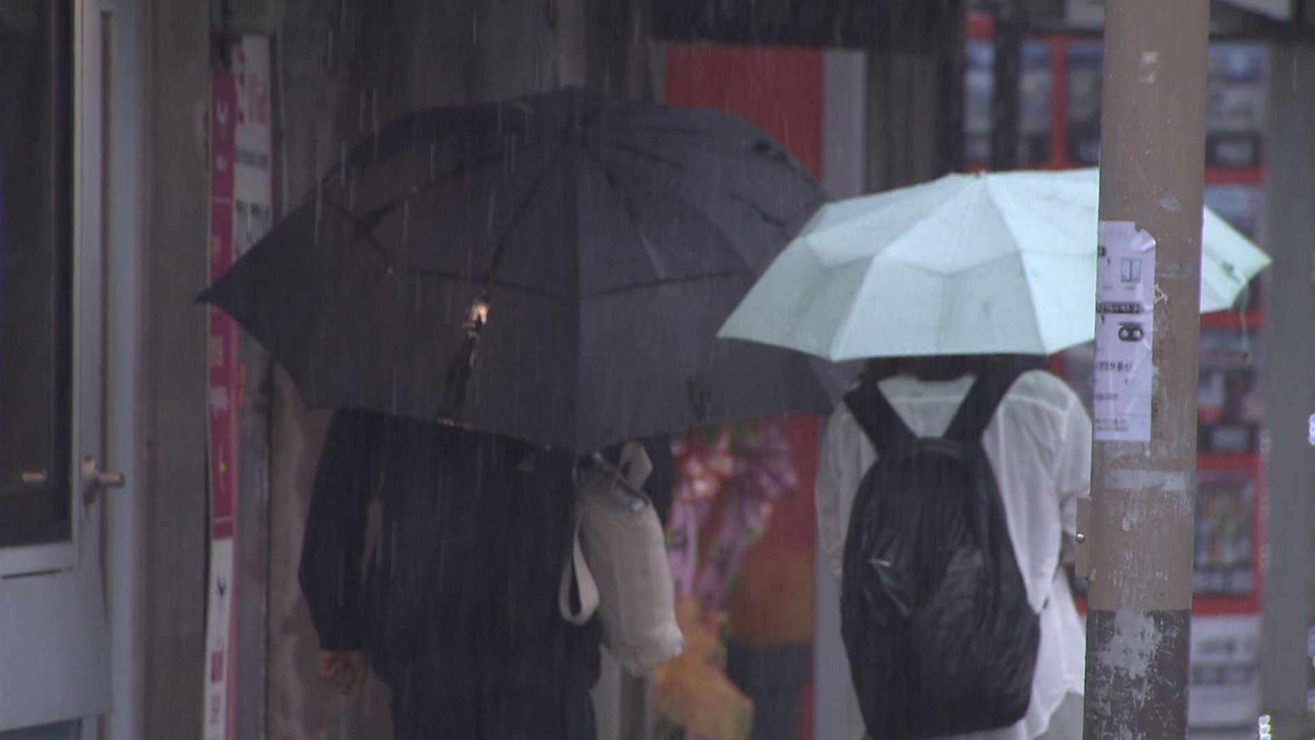 내일까지 비 5~10mm.. 일요일까지 초여름 날씨