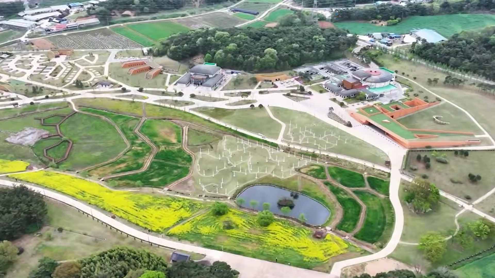 정읍 동학농민혁명기념공원 유채꽃 활짝..상춘객 발길 이어져 [글로컬소식]