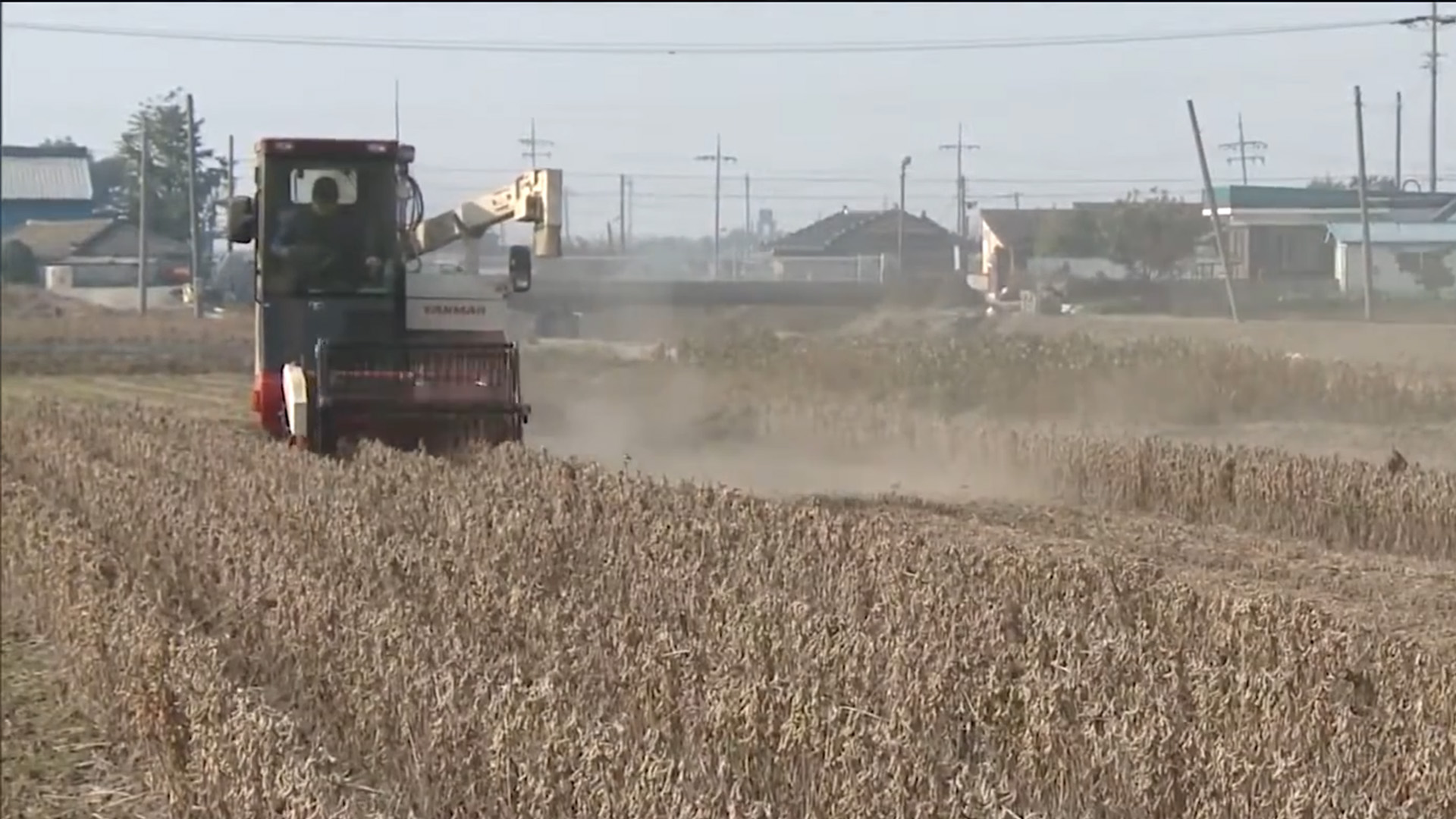 유전자변형 작물 여부 무상검정 지원