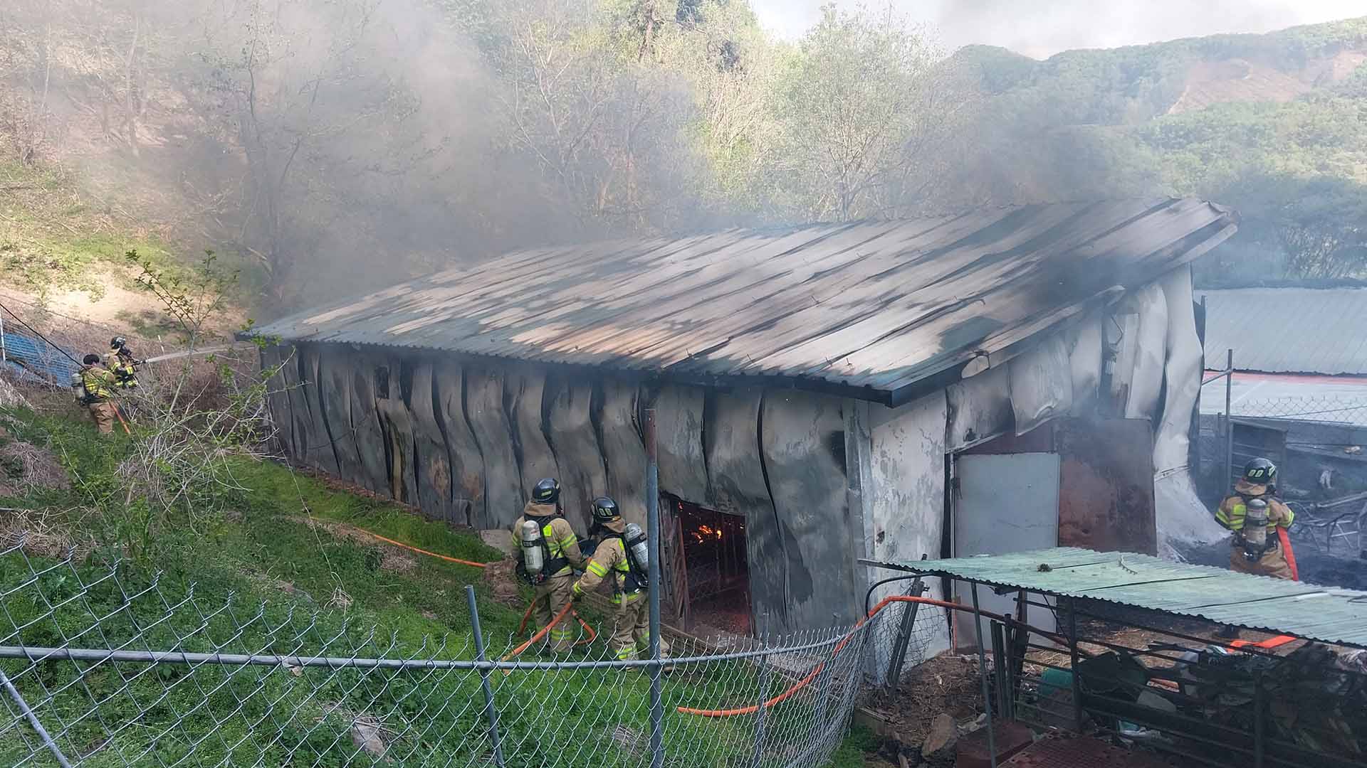 진안 염소 축사 화재로 40마리 폐사.. 담뱃불 추정