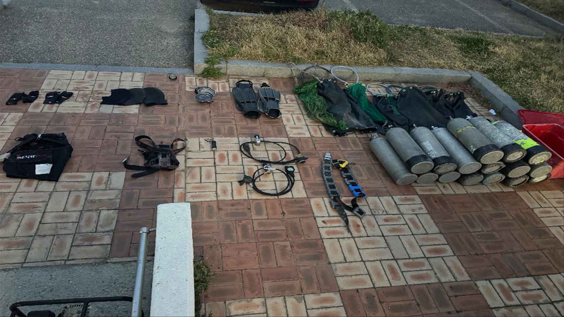 잠수 장비로 해삼 1.1톤 불법 채취한 일당 적발.. '전량 방류'