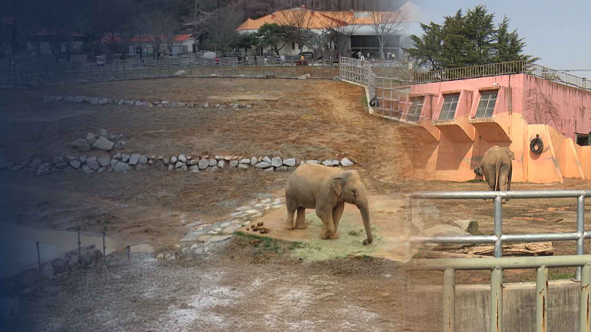 ‘탈바꿈’한다던 전주‘생태’동물원, 수년째 ‘제자리’