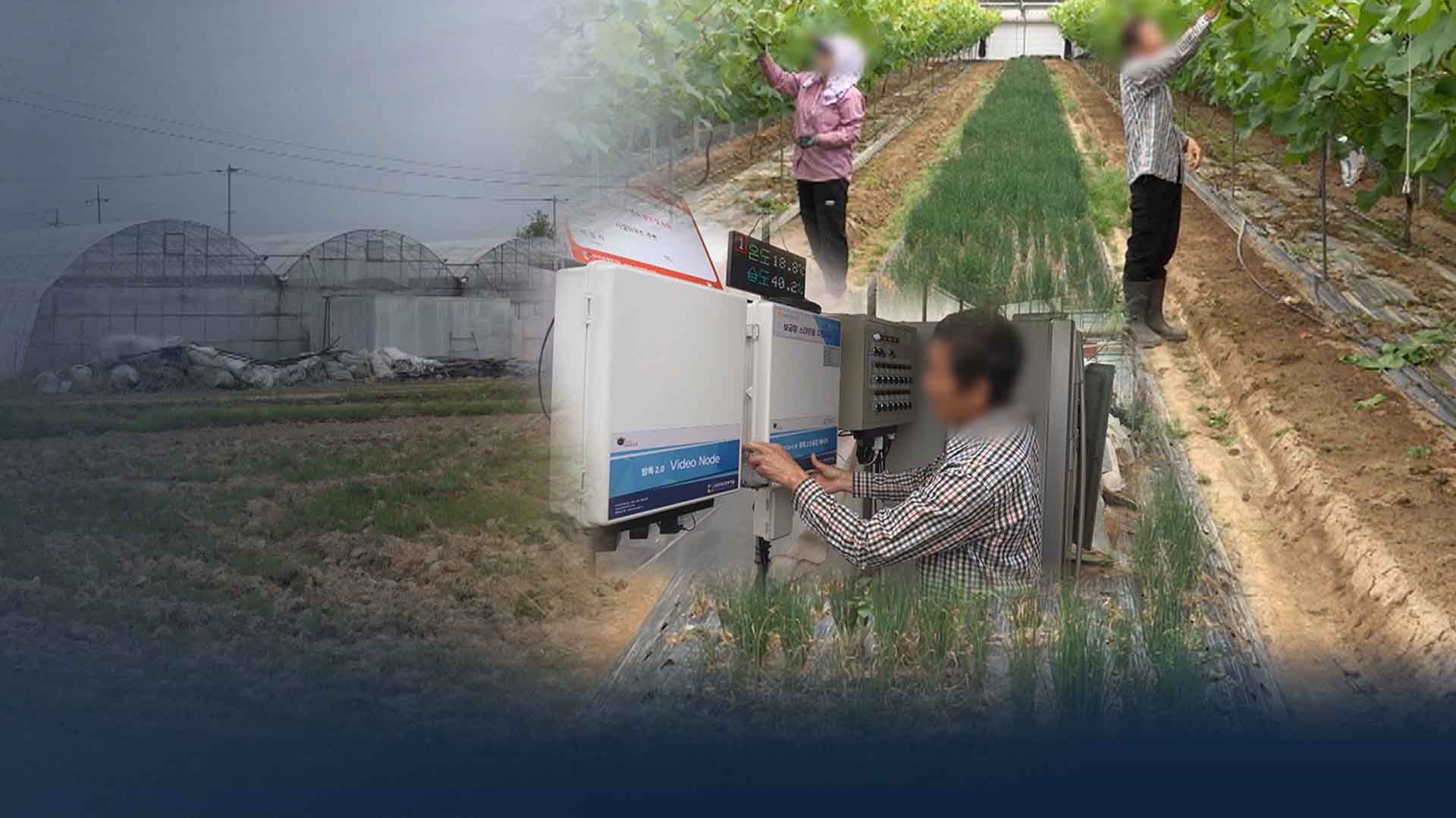 농민 삶 바꾸는 '실속형 스마트팜' 지원