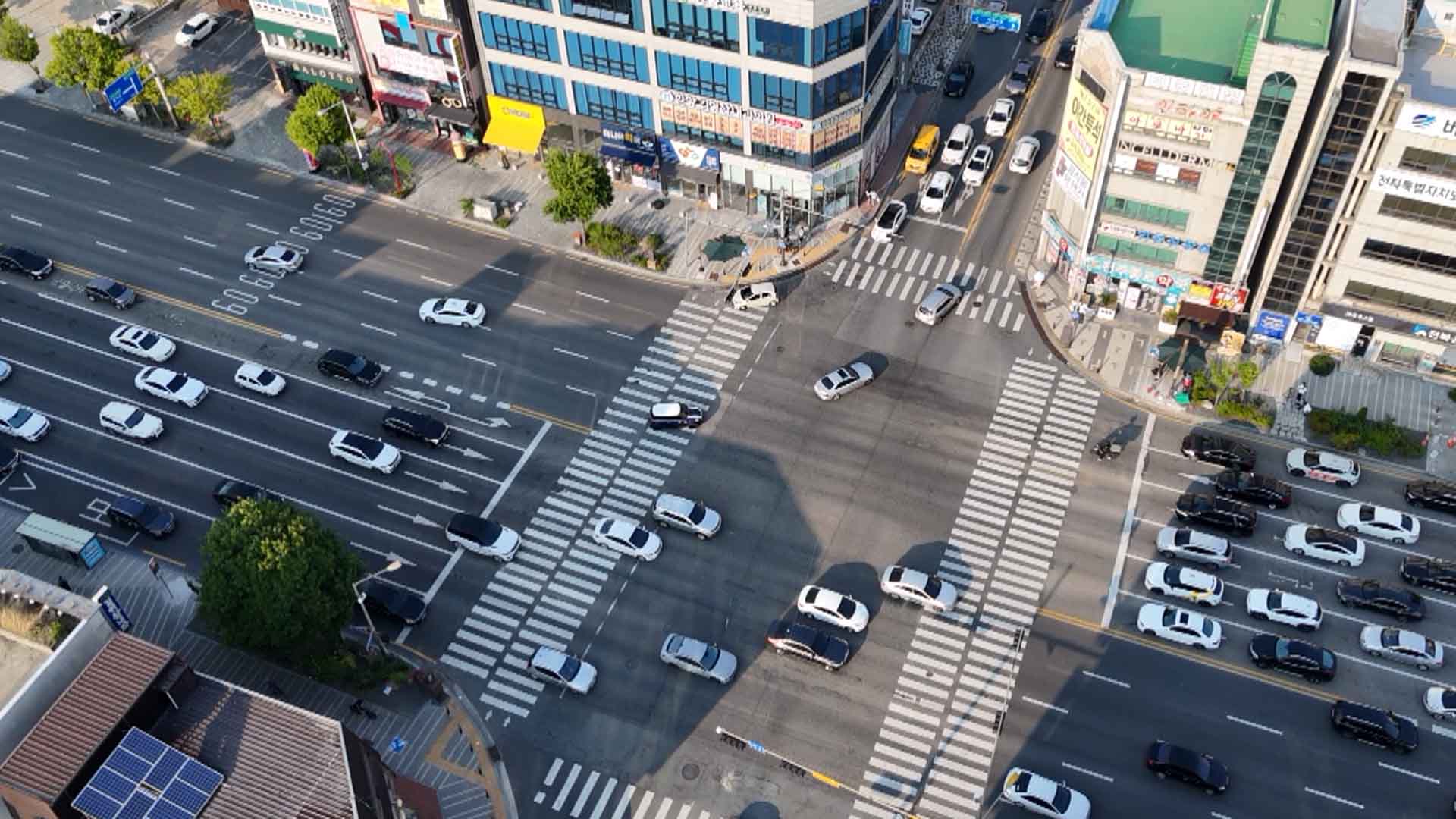 우회전 일시정지 단속 한 달.. 220여 명 범칙금