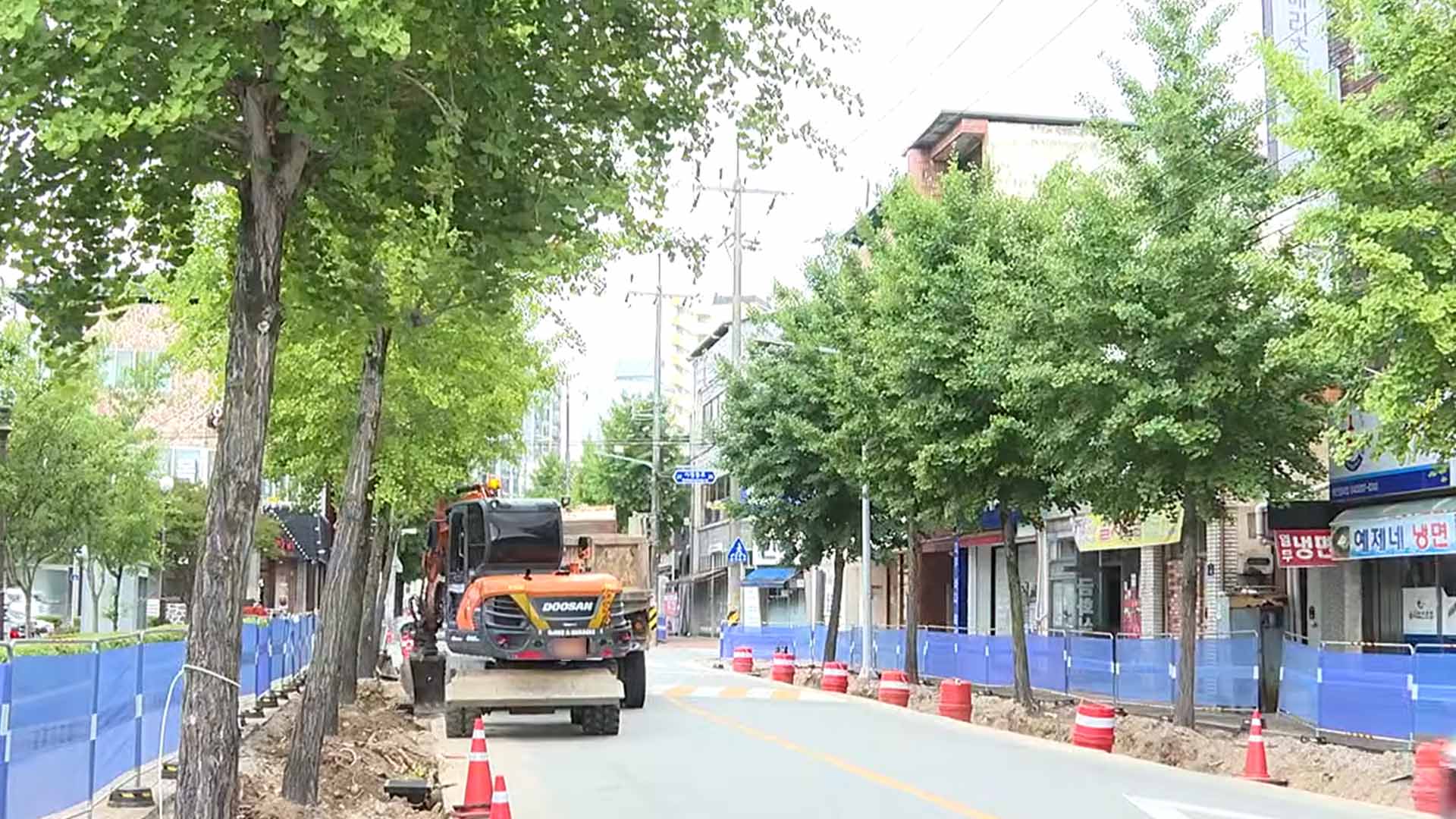남원, 가로수 뿌리 인도 변형 정비..보행 안전 확보 [글로컬소식]