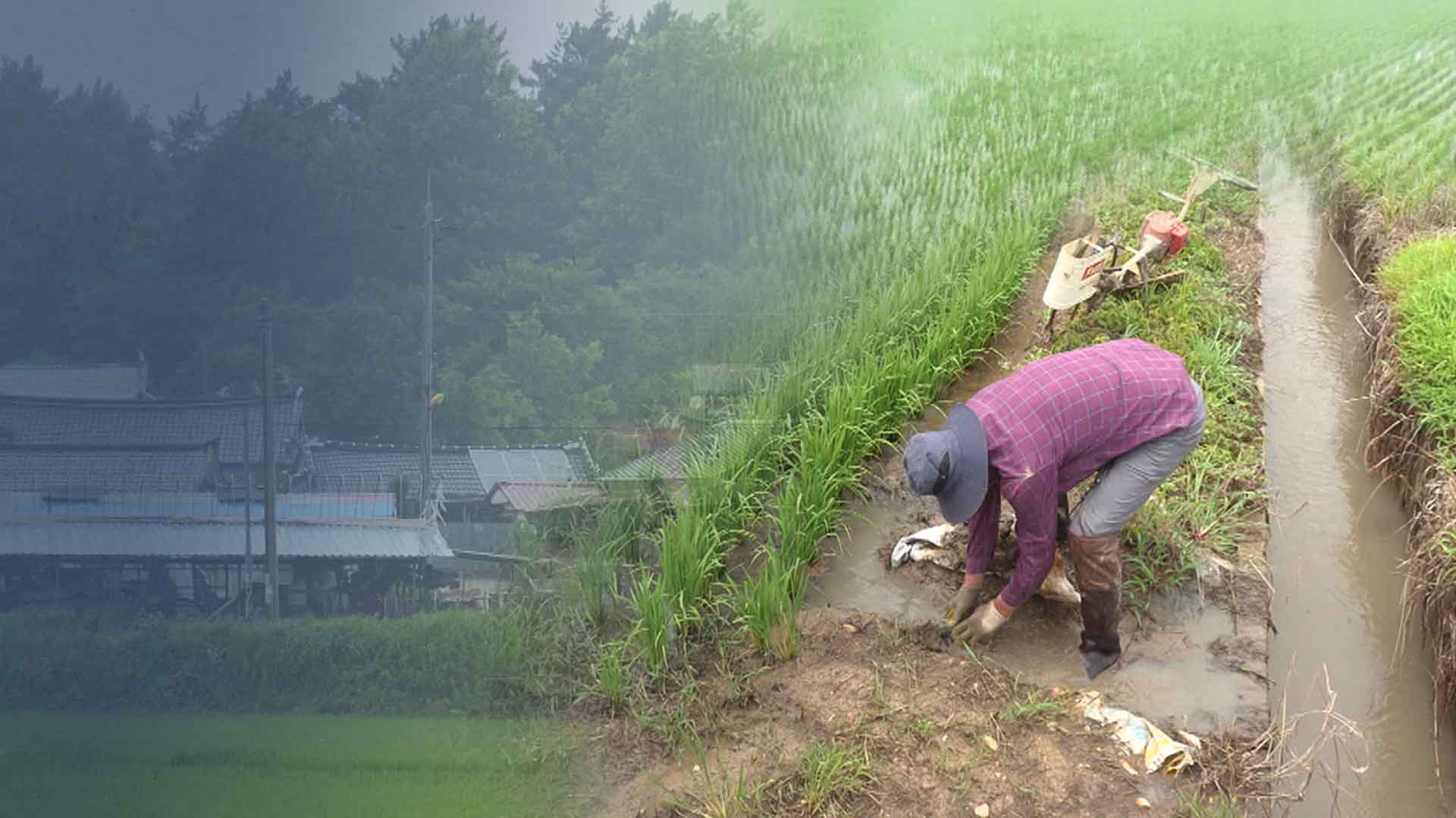 반가운 '지각 장맛비'.. 마른 저수지에 걱정은 '여전'