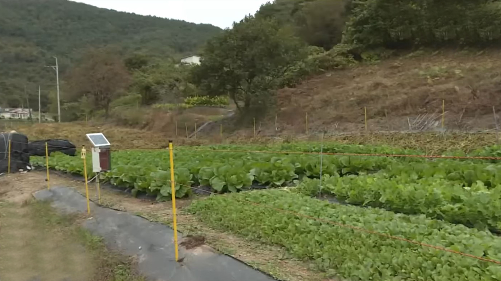 농지전수조사, 전북 농지 25.7% 심층조사 대상
