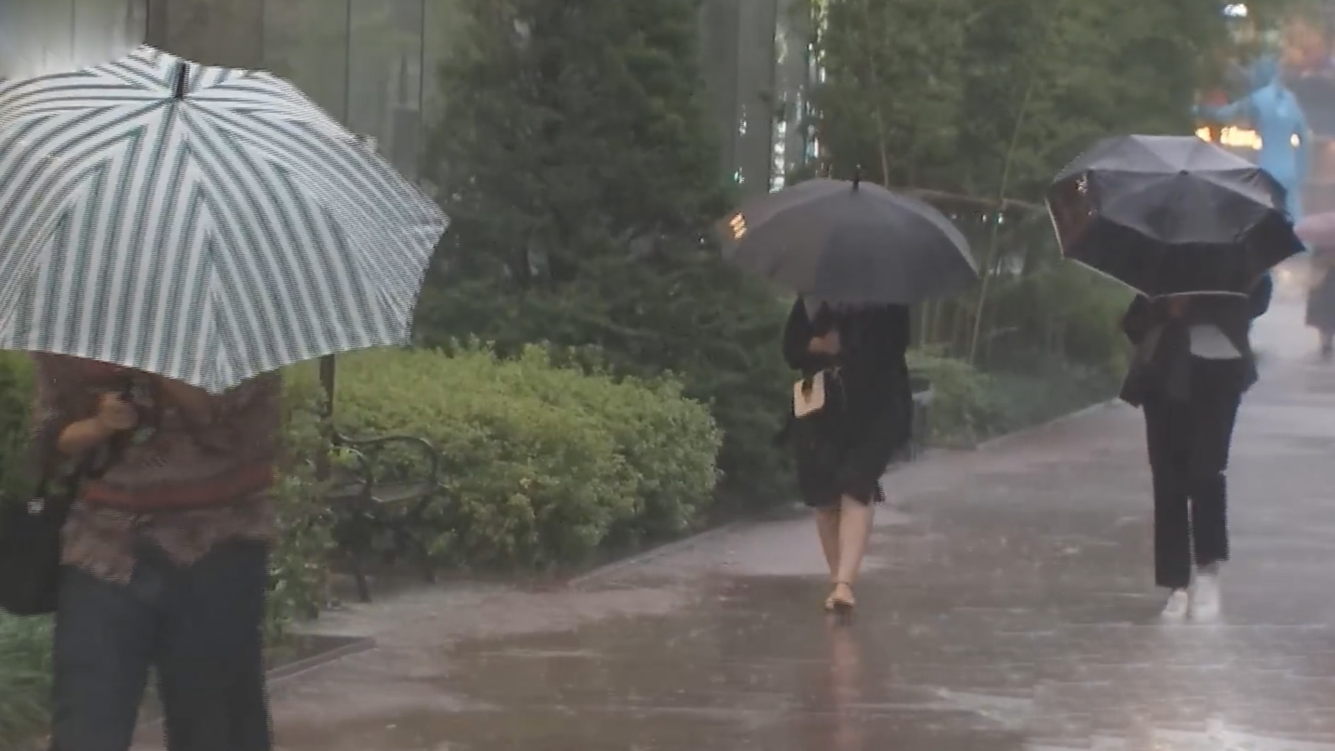 늦은 오후부터 장맛비.. 내일부터 이틀간 30~100mm 비