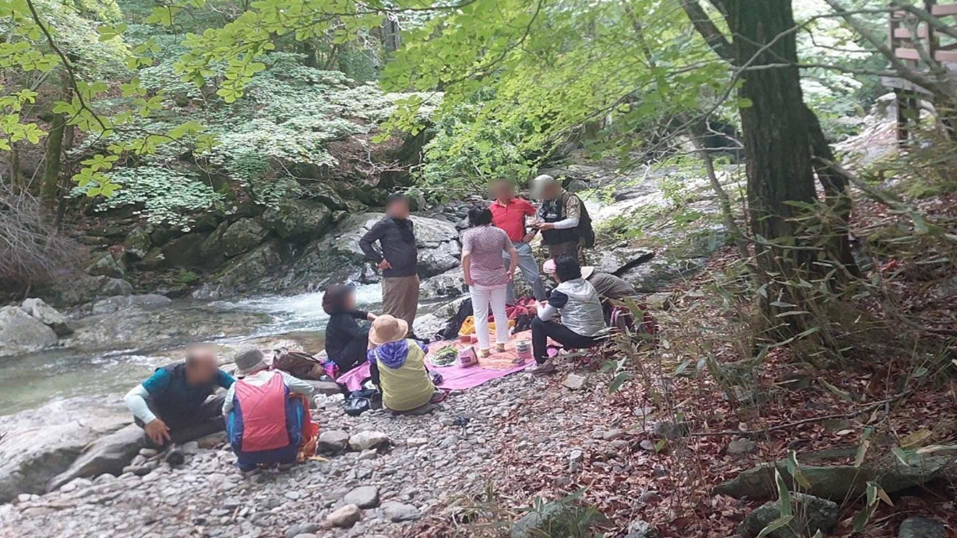 국립공원, 피서철 야영·음주 등 무질서 행위 특별 단속