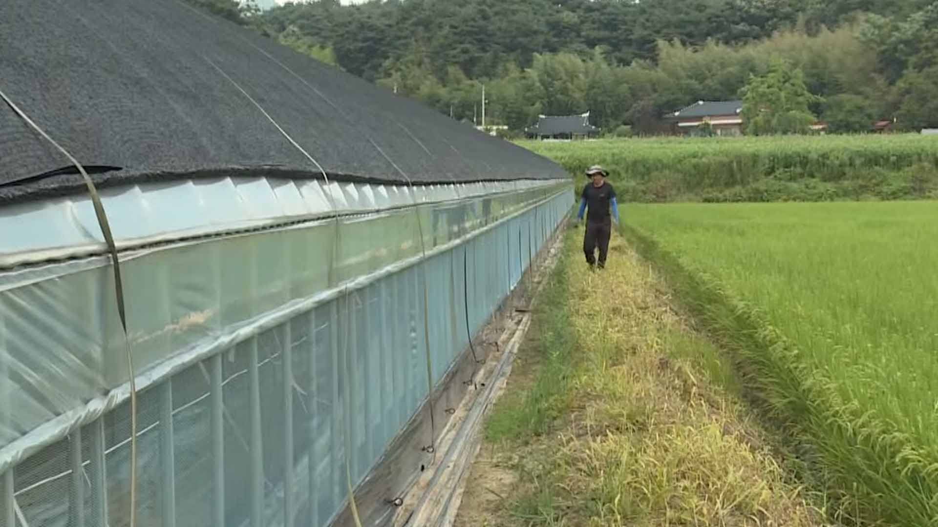 임실군, 장마 앞두고 재해취약지 '선제 대응' 강화 [글로컬소식]
