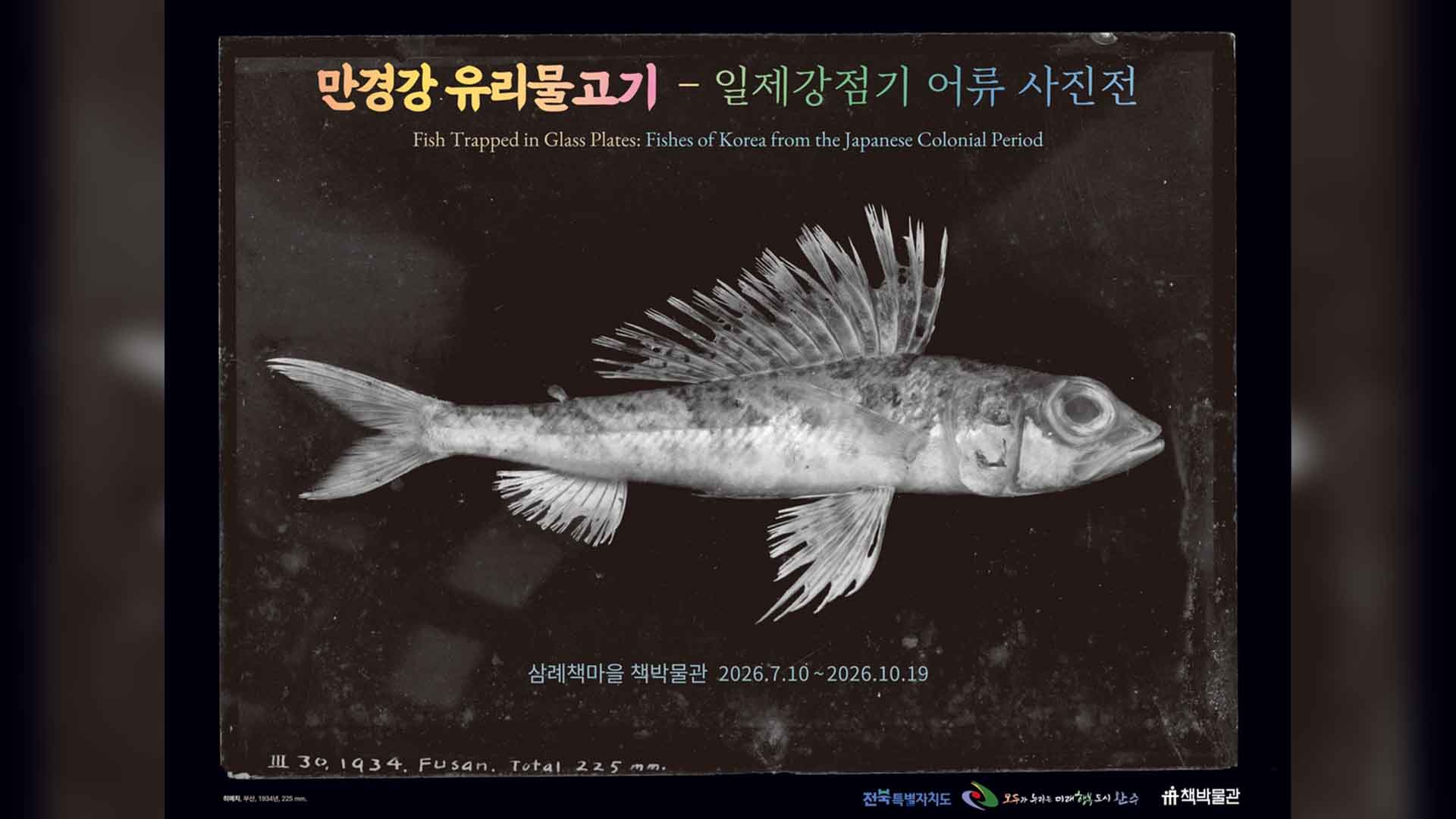 완주 삼례책마을, '만경강 유리물고기' 특별전 열려