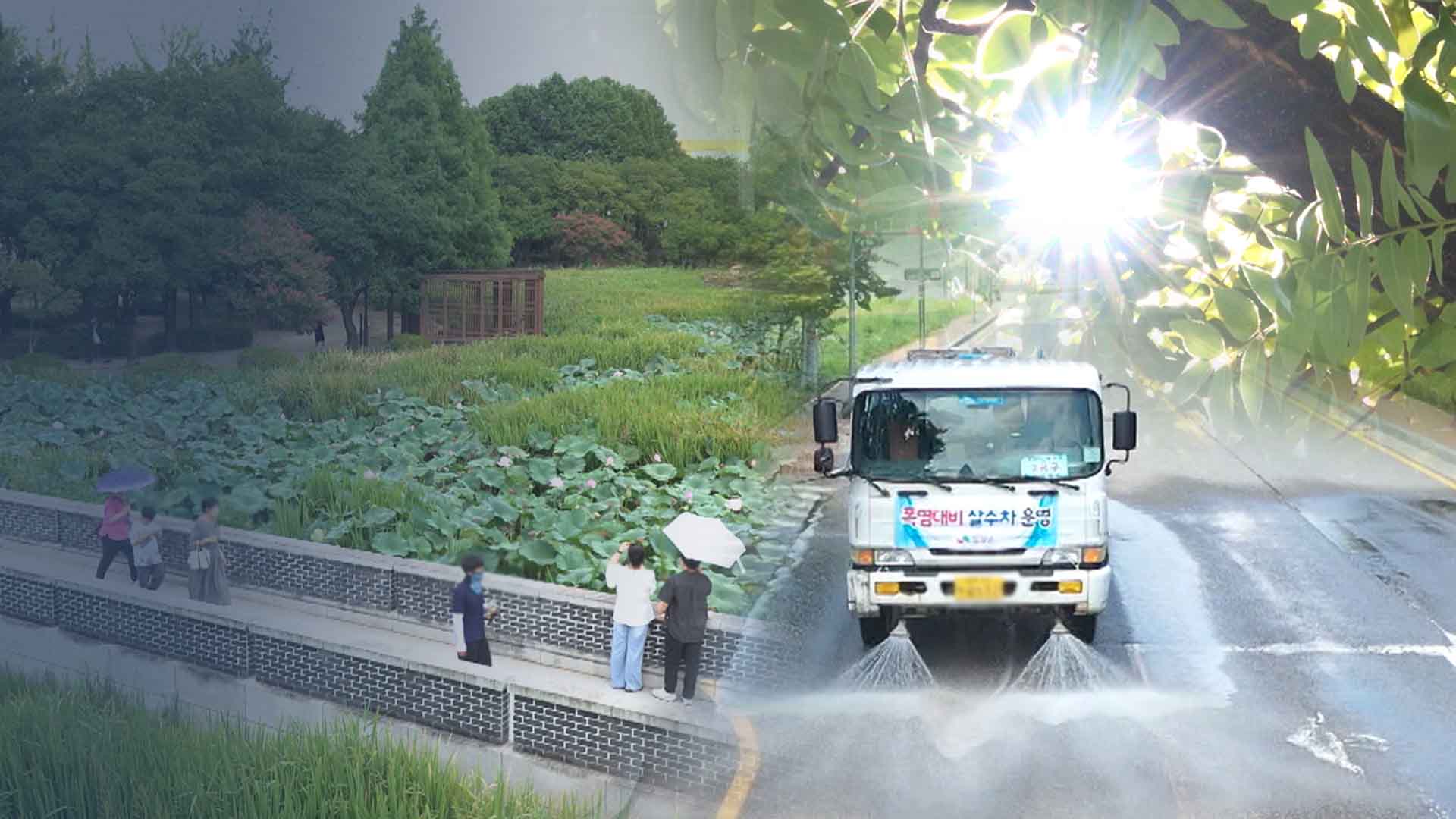 한풀 꺾인 '극한 폭염'...무더위·열대야는 계속
