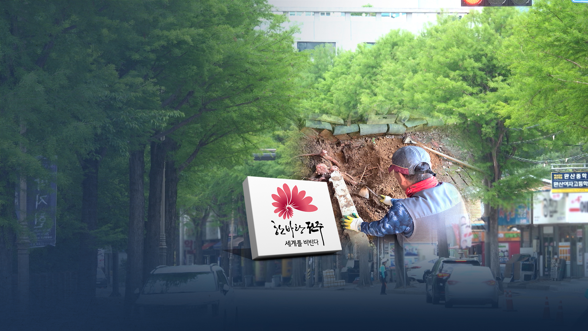 '공포의 가로수' 집단 민원 후에야 대책 마련.. 개별 민원엔 땜질?