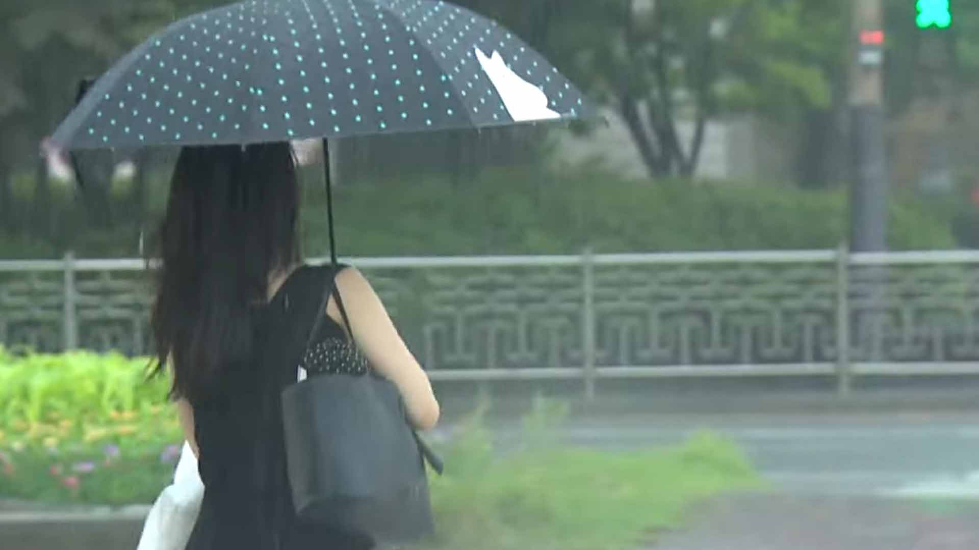 광복절 연휴 내내 '비'.. 더위 한풀 꺾여