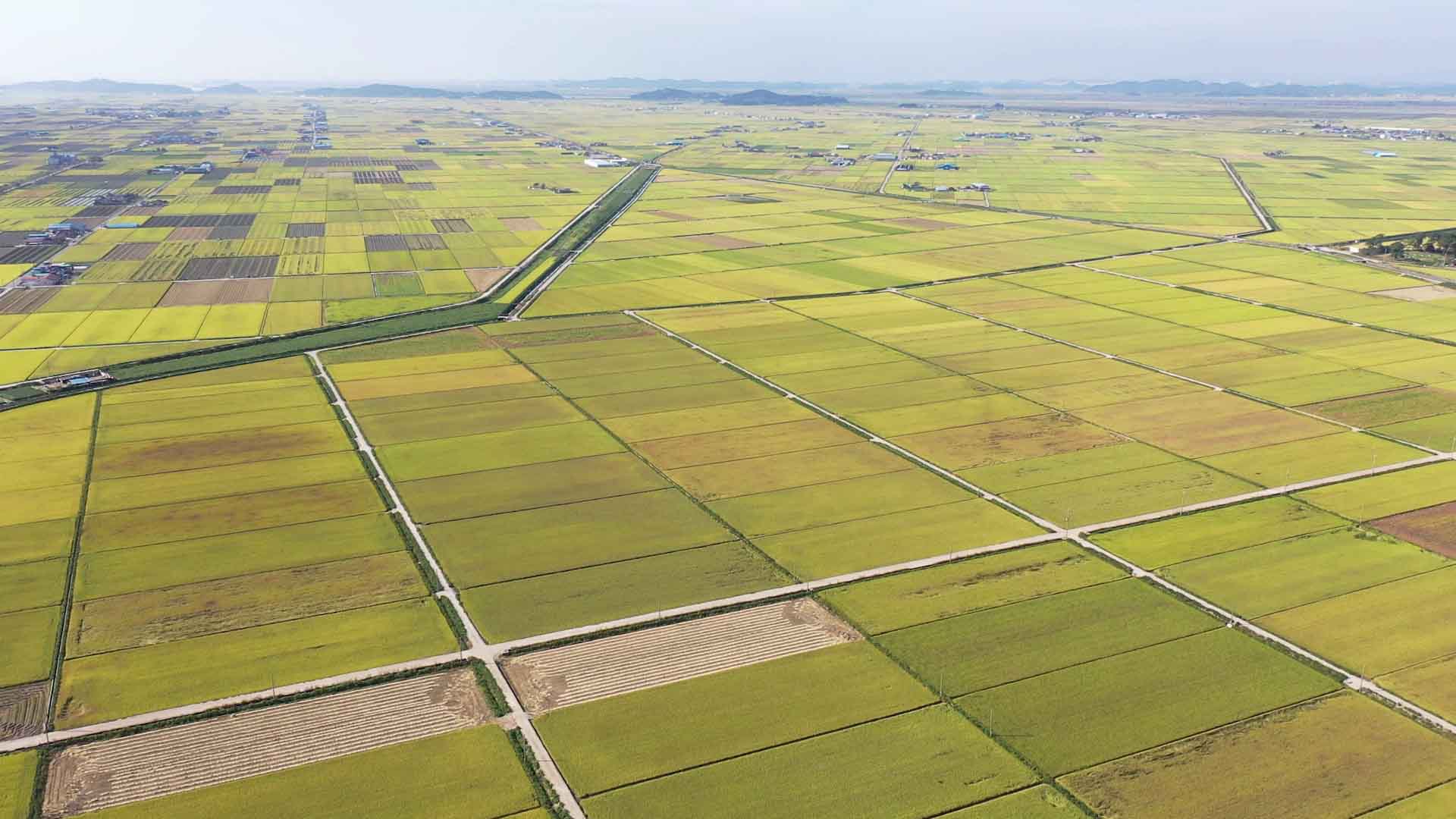 군산시, 농지 조사에서 불법 의심 1만 862필지 확인