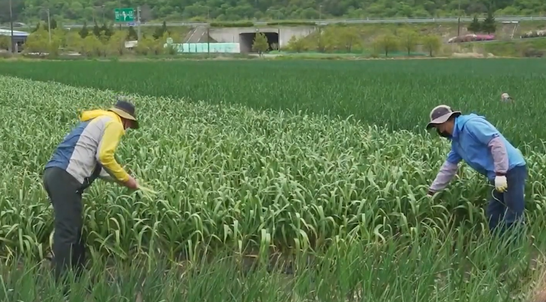 직불금 농외소득 기준 4700만 원으로 상향