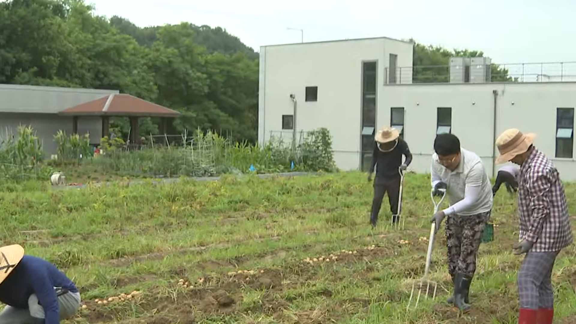 줄어들던 전북 귀농, 지난해 다시 늘어