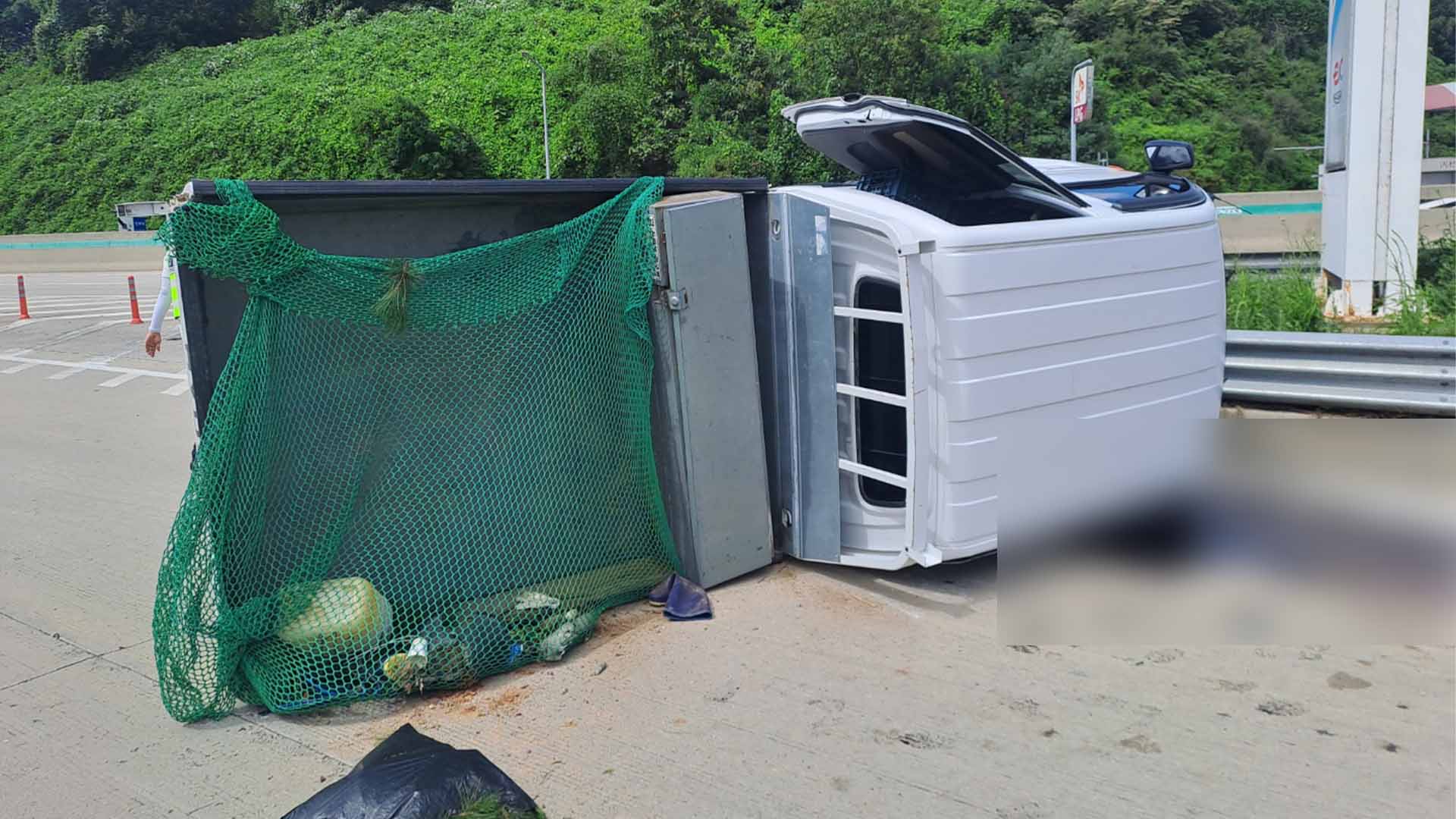 이미지 없음