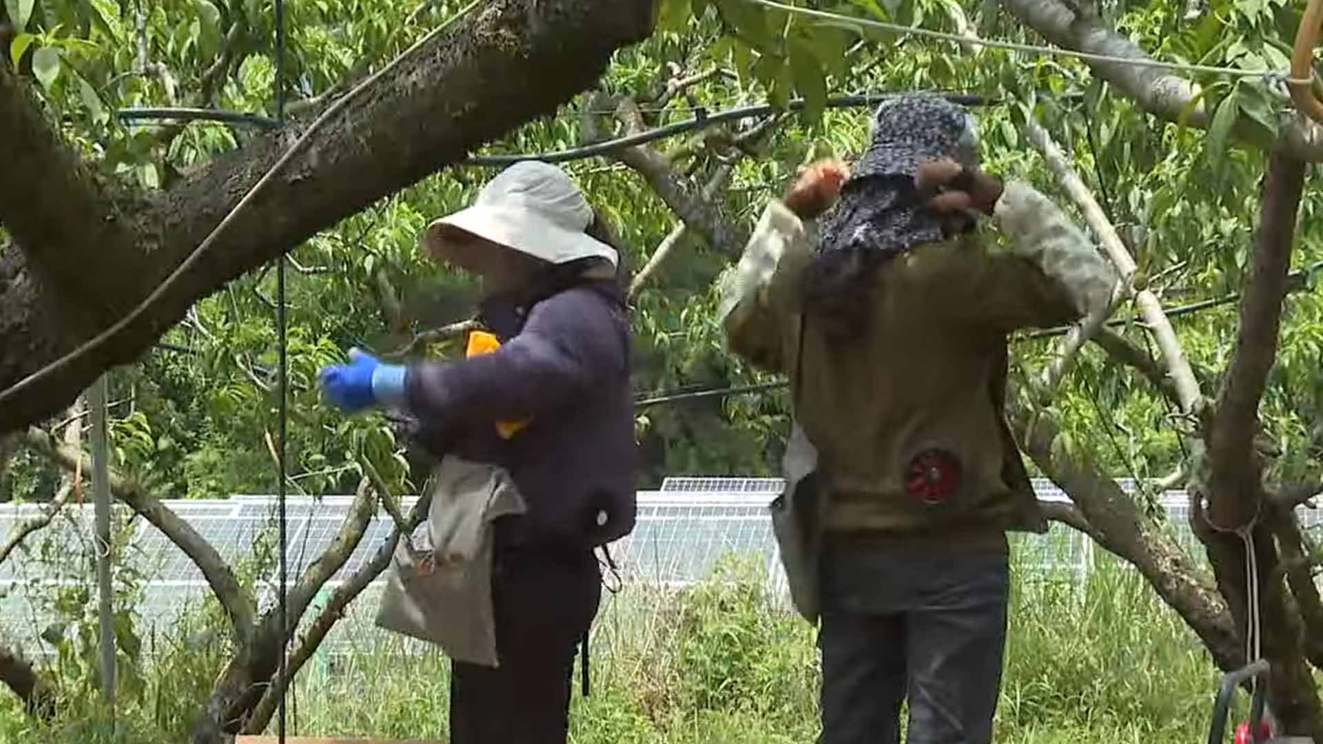 외국인 임금 체불 급증.. 영세사업장 비중 커