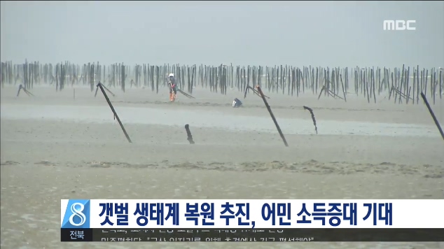 갯벌 생태계 복원