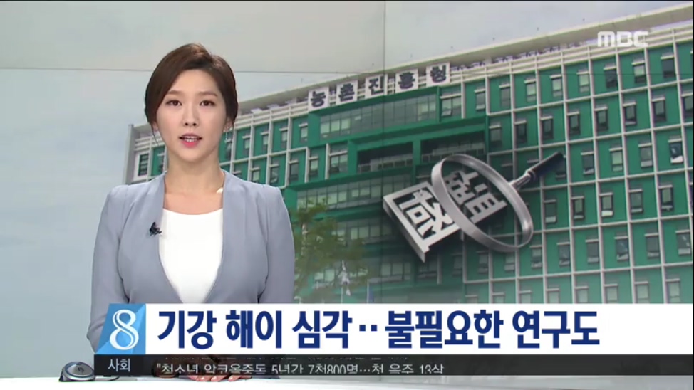 기강 해이 심각...불필요한 연구도