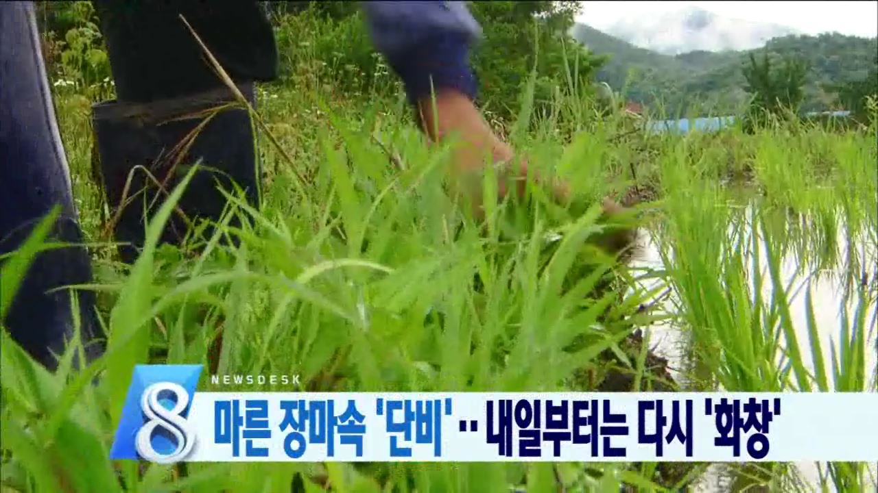 장마 시작..농민은 걱정