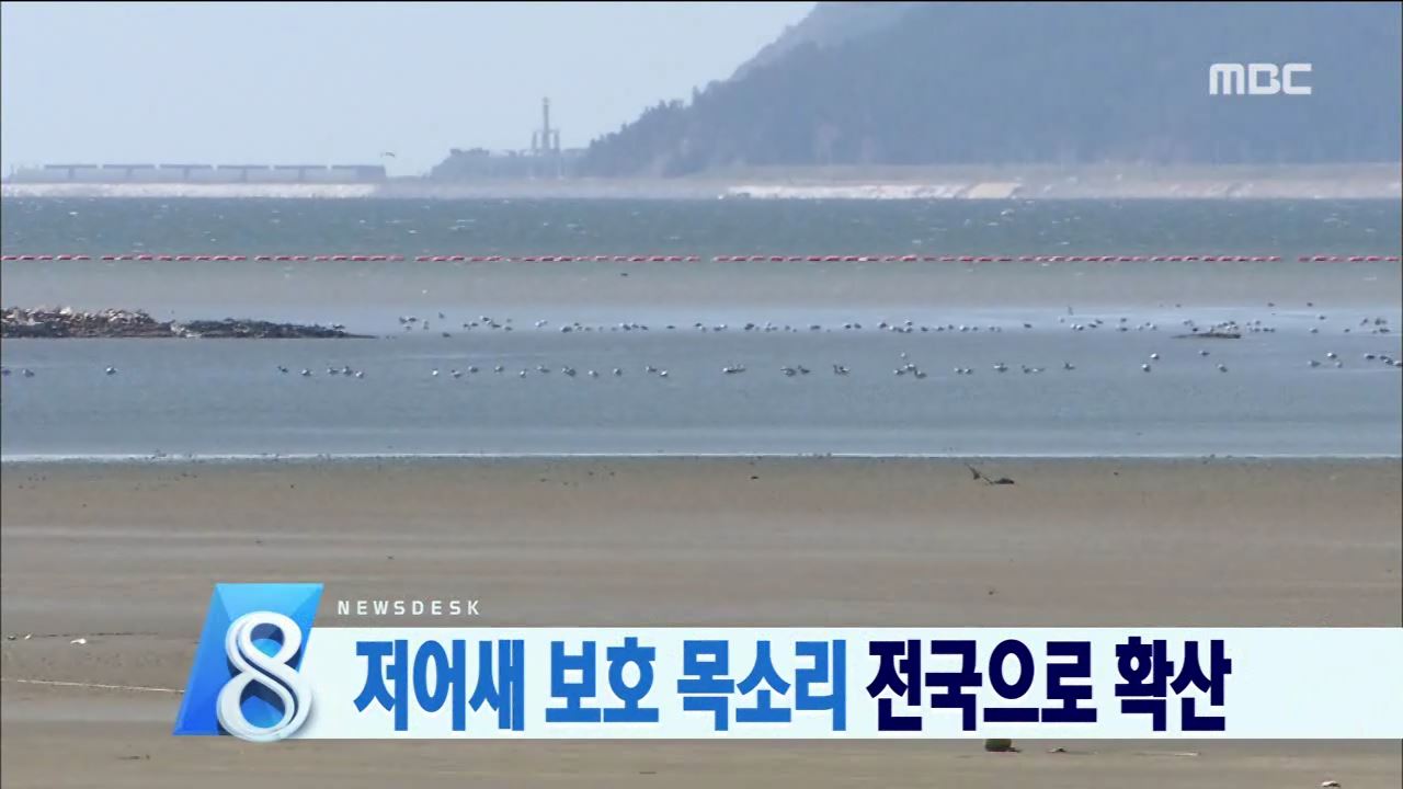 저어새 보호위한 갯벌 보전 목소리 커져