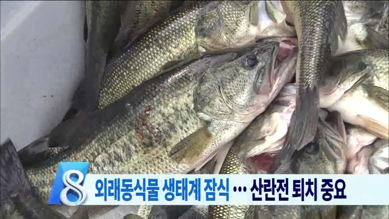 생태계 교란종