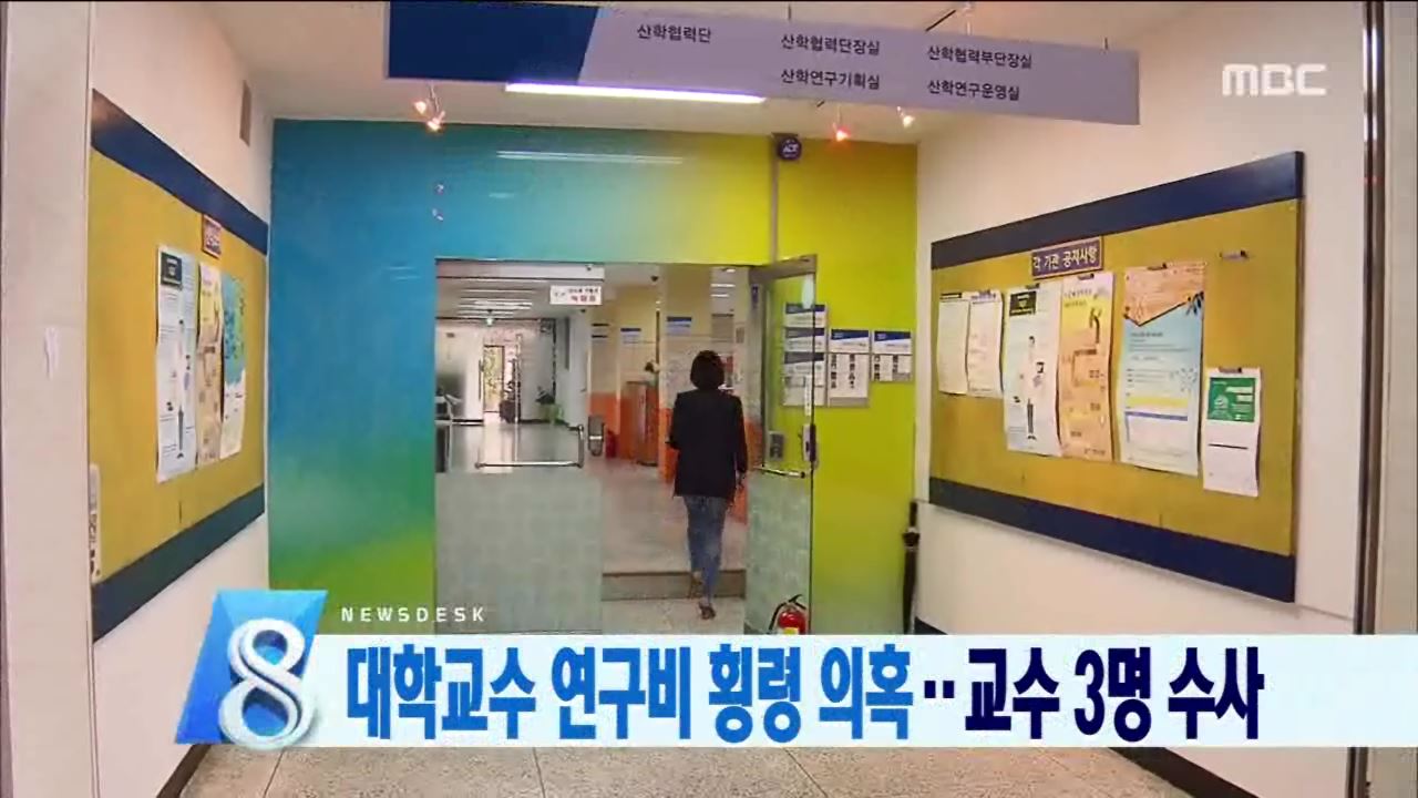 교수 연구비 횡령