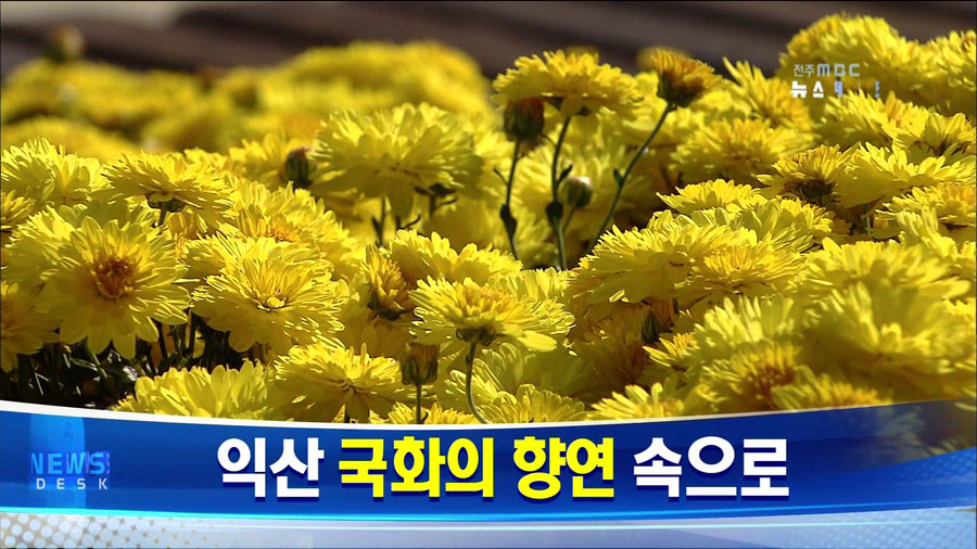 청명한 가을, 아름다운 꽃