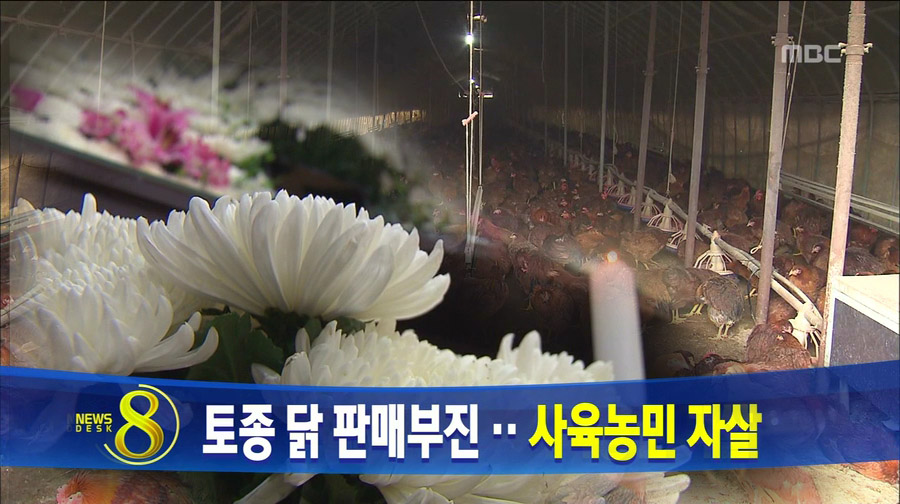 토종닭 농장주 목숨 끊어