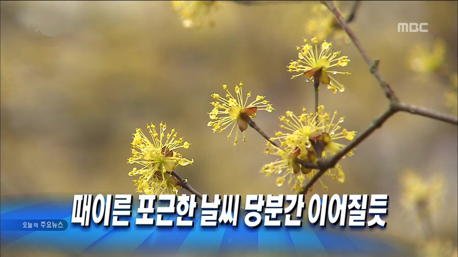 당분간 이어질듯